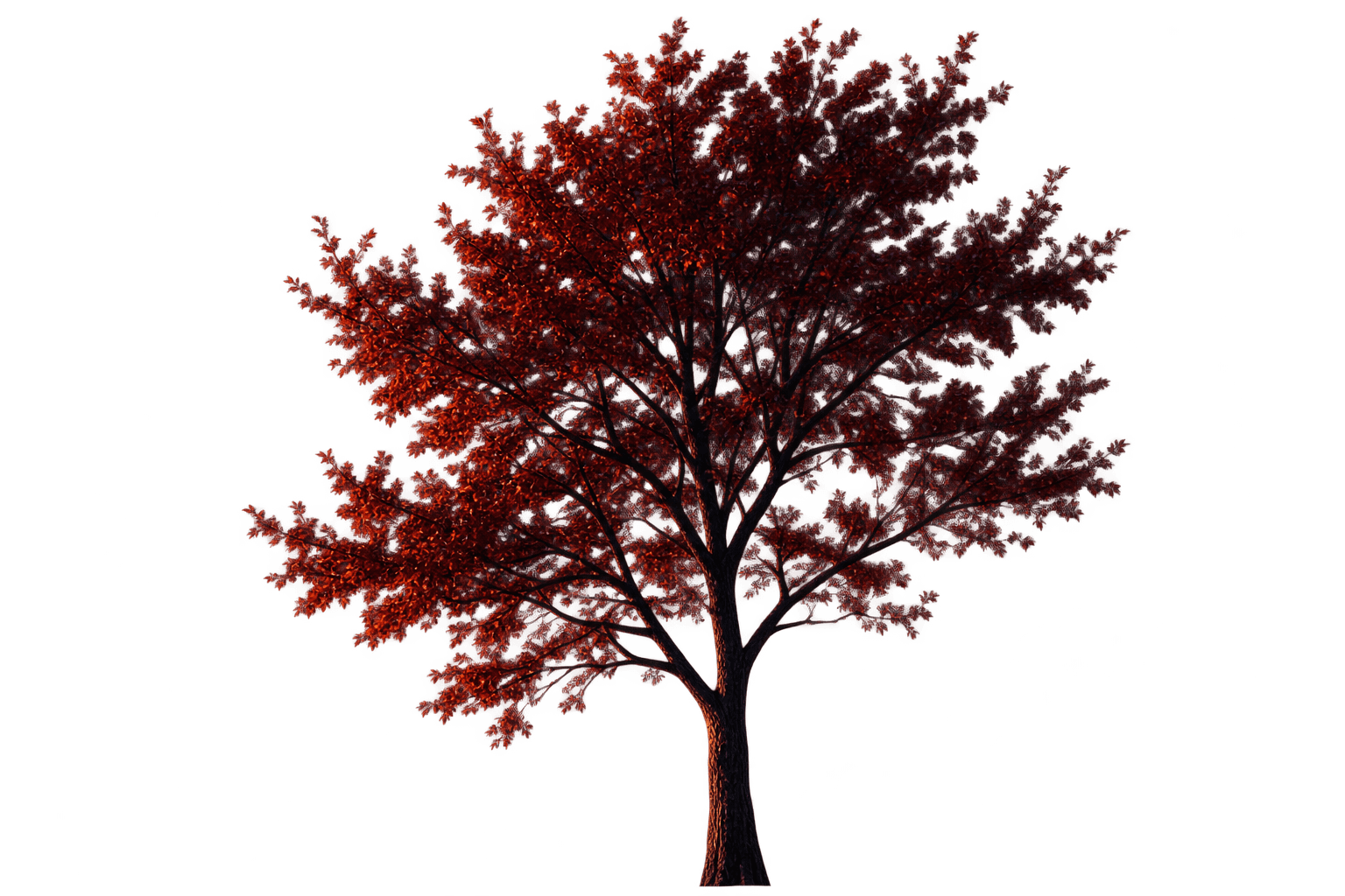 Autumn landscape tree framing